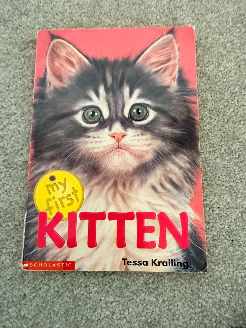 My First Kitten paperback Book - Cute Grey Kitten on Coral Cover